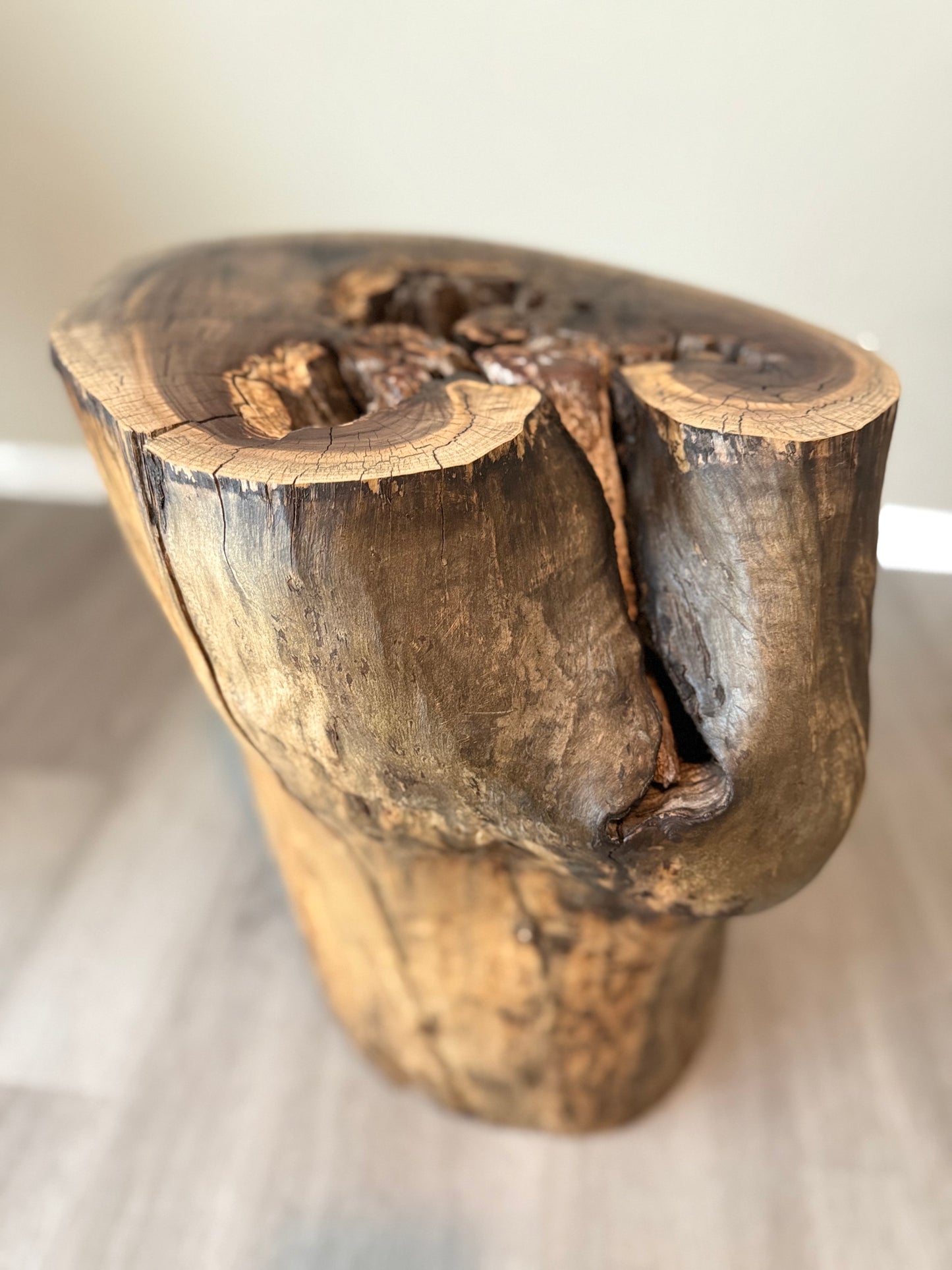 side view of walnut log table with visible shape, cracks and hollowed out wood