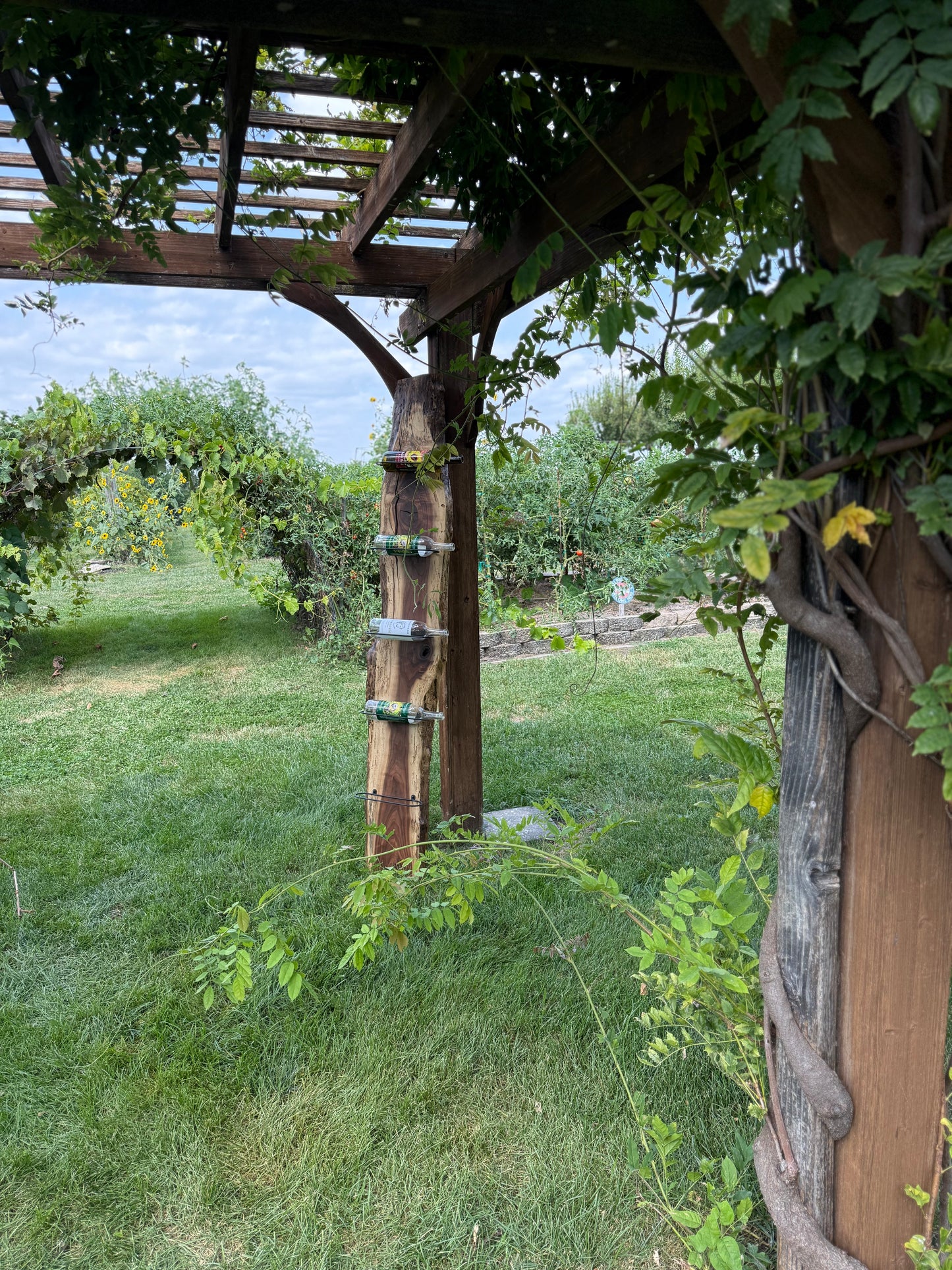 Tall live edge walnut wine rack with bottles on display in outside setting with plants and greenery