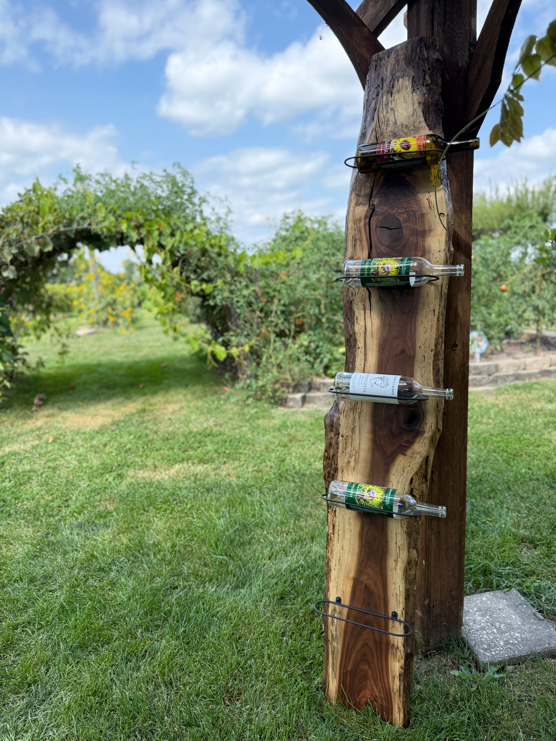 Live edge wine rack displayed with outdoor greenery and natural archway