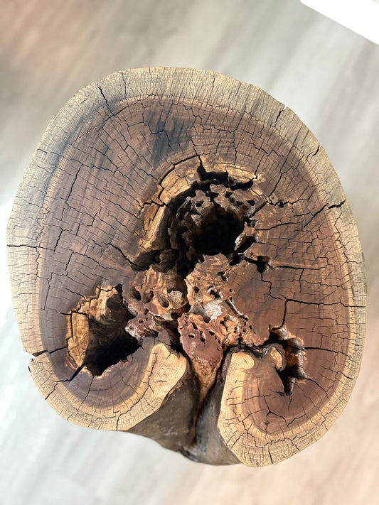 top view  of natural hollowed walnut wood end table showcasing natural cracks and crevices 