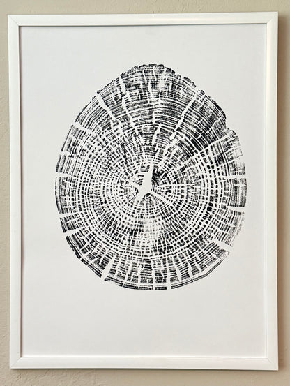 hand pressed tree ring art in black acrylic paint on white paper hanging on wall