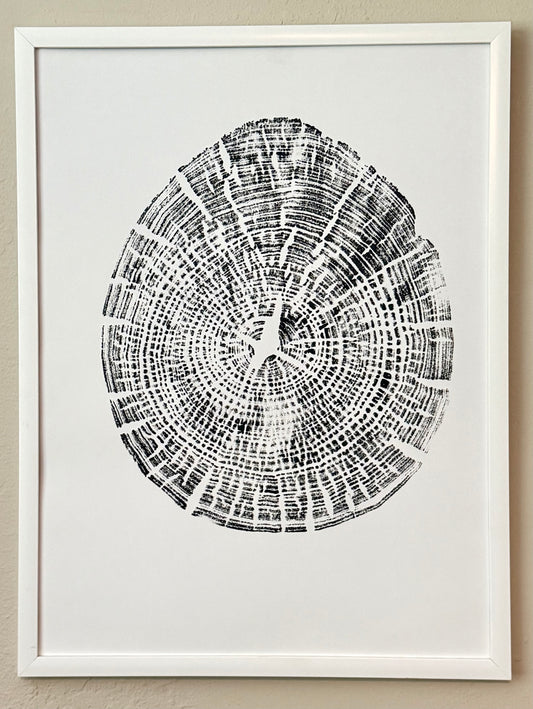 hand pressed tree ring art in black acrylic paint on white paper hanging on wall