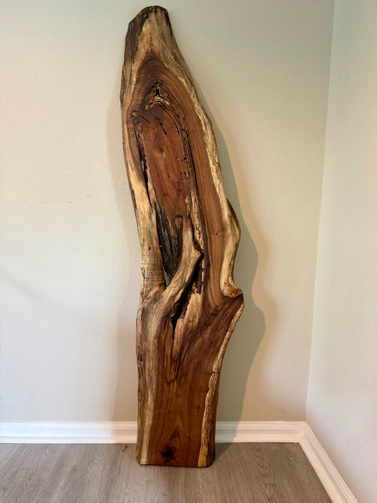 live-edge wall art in vertical orientation showing unique patterns, natural cracks and organic curves